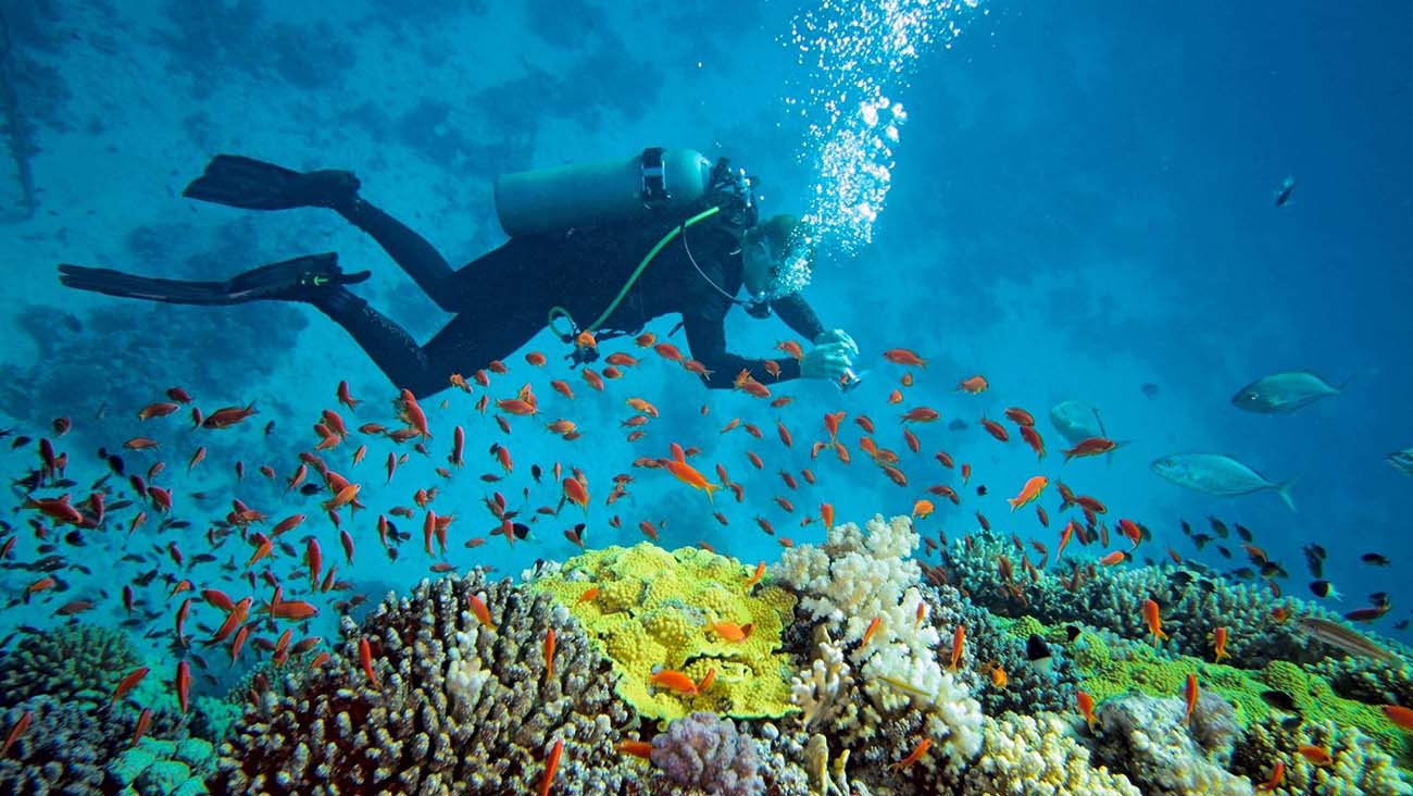 Snorkeling in Nha Trang